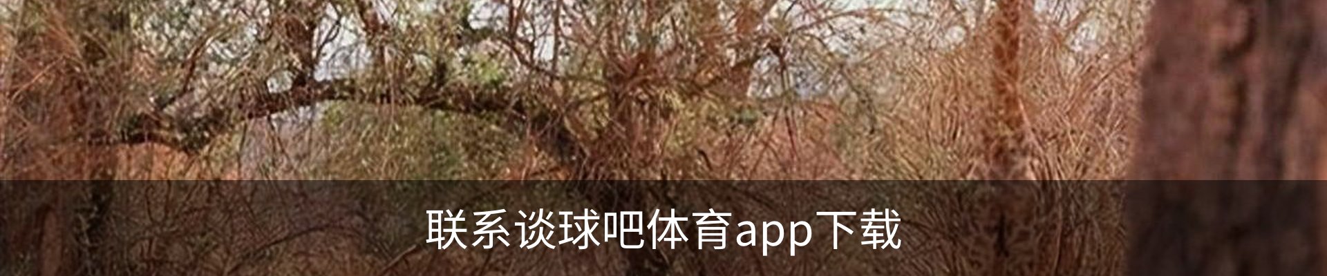 联系谈球吧体育app下载